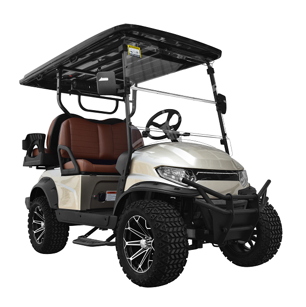 18-4 seater electric buggy
